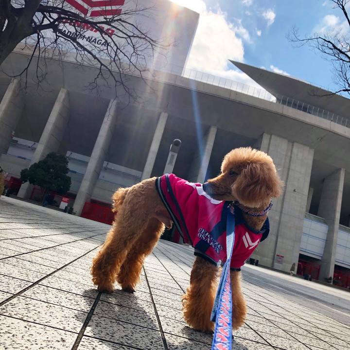 E88a6675 582c 487d b253 b7075af26d21 1667763568102