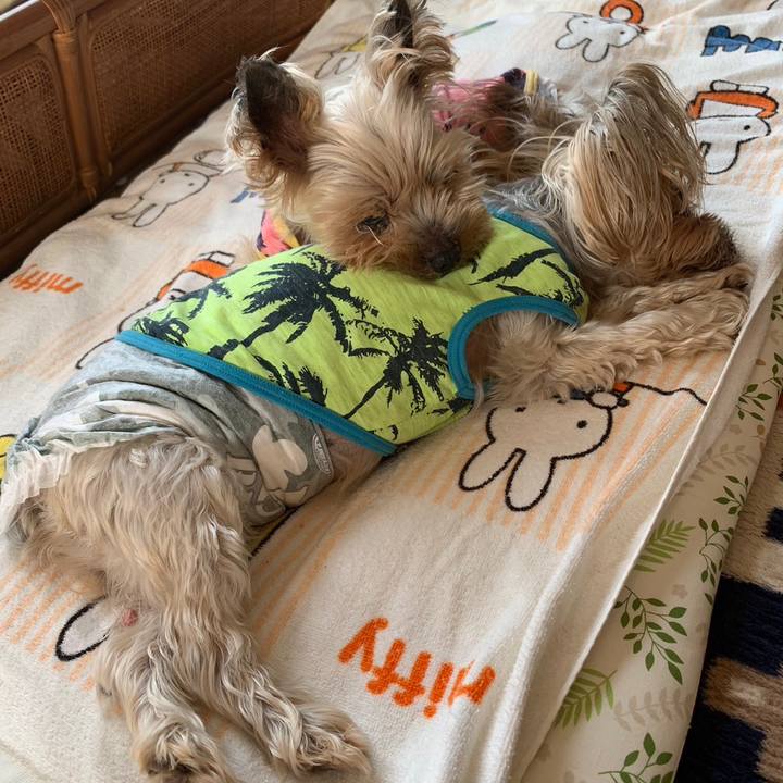 E88a68ca 8c6d 4d8a 99a0 54350f328a3a 1686650485502