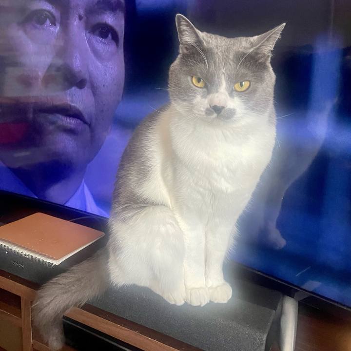 E88a75c8 c8c7 4736 b46f 6e828affc469 1682147975160