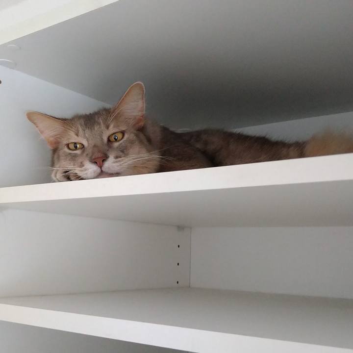 E88a7d68 aa97 4801 b570 a9c0937a20c5 1627719243669