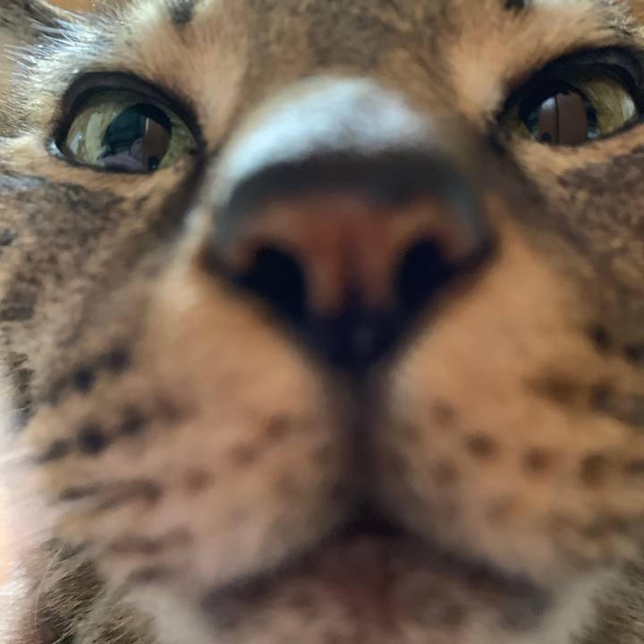 E88a9810 58fd 4e5e 801e ab328fd8c28c 1544235491565