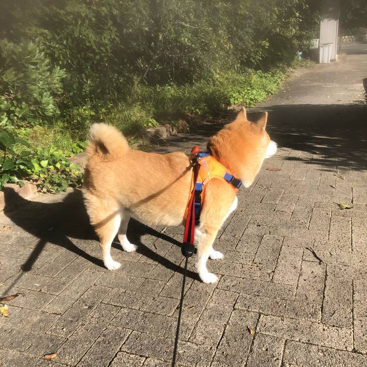 E88ab621 12d9 4d6a 8ac7 420788cd70b9 1572680772338