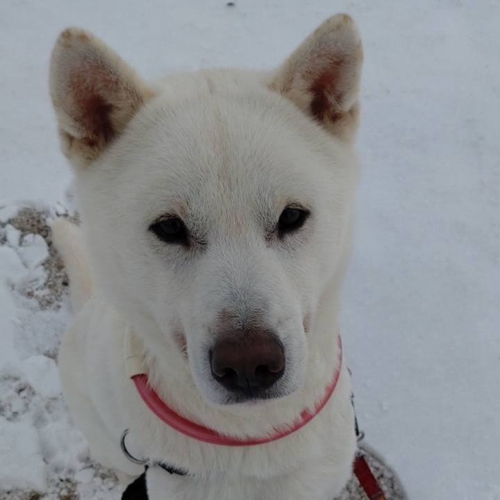 E88ad63c 7e58 4e7b 81a1 e465a5205426 1640946081856