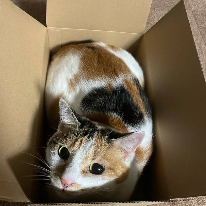 E88ad6af 2653 4bc1 ae8b 174a47861c57 1695739029317