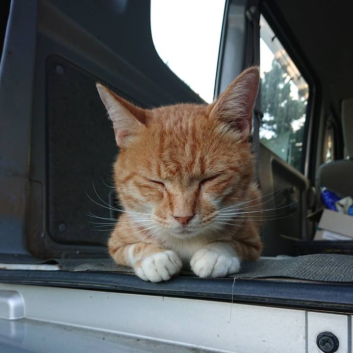 E88ae478 8407 4b04 8058 6e4c21b9b1e7 1597223010921