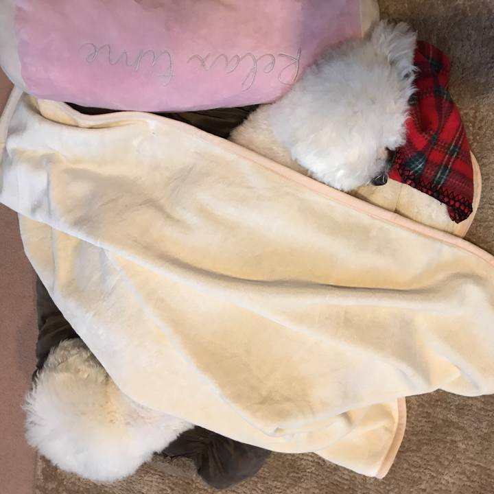 E88b06dd d1b7 404e b5d5 5232a72a1689 1579241444593