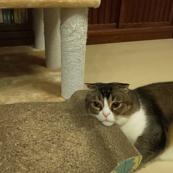 E88b3f80 5b40 44a3 b71f b6b04bd46d00 1580000681391