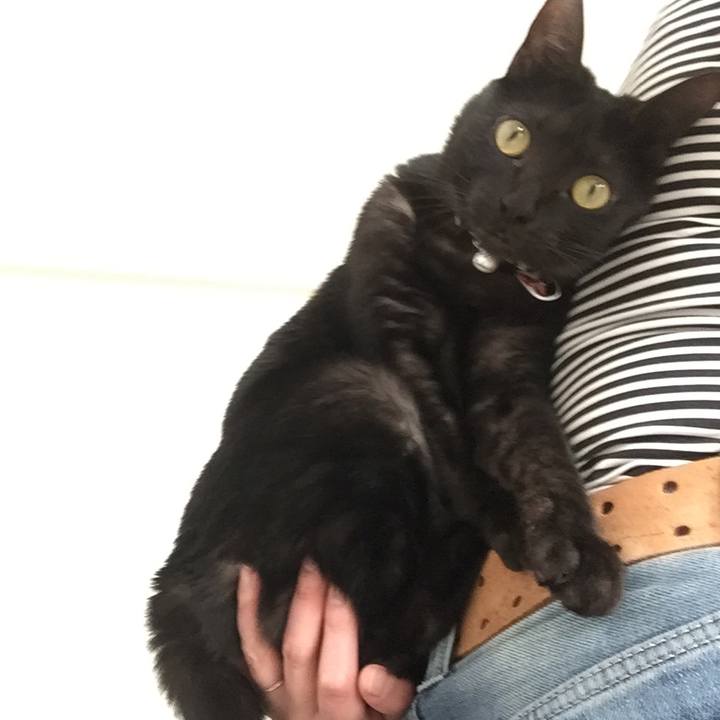 E88b6251 b125 4540 9691 226229770099 1519779351429