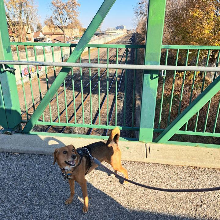 E88b8e37 5cc1 42cf 9ee8 6cb16c92c9e5 1763655342113