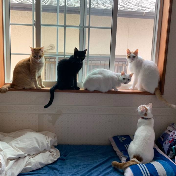 E88b9aee 2377 4796 b6ae e90ea87d3f65 1558224456154