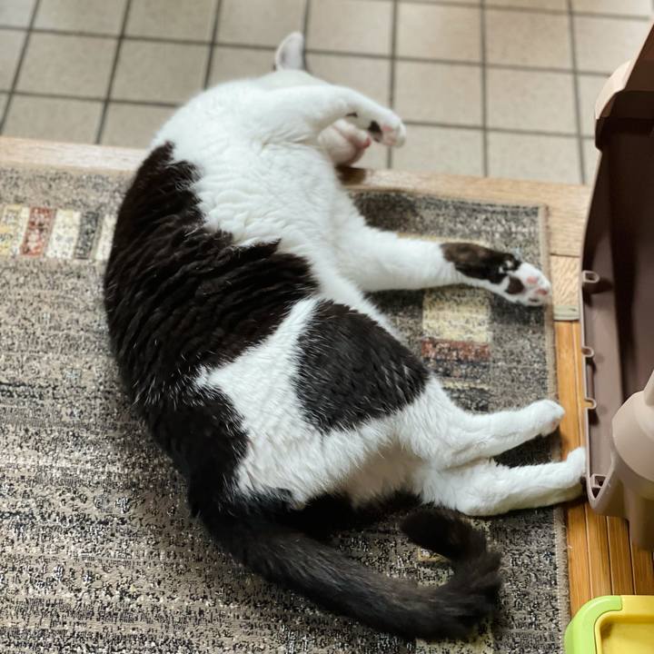 E88ba276 9fa7 49e9 8c6d b4c445f9f087 1630285626967