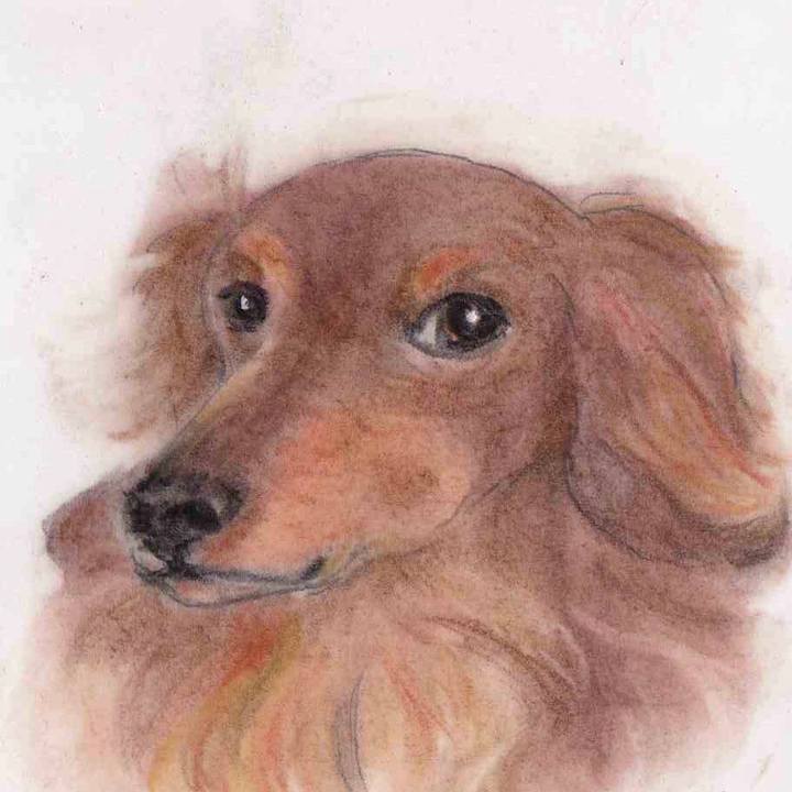 E88bc90c 7929 4c4a 9598 c8d134314202 1644507304142