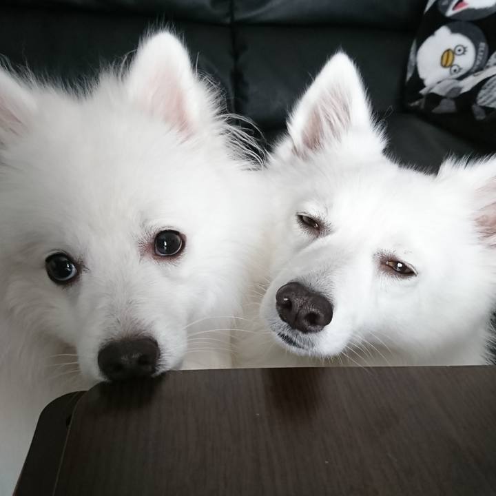 E88be1c8 dd65 43d5 bb82 0f594b075966 1573183166466