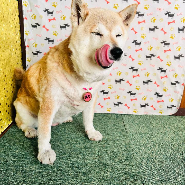 E88beb81 dee7 4118 b9ea 461a748c2c33 1749373679858