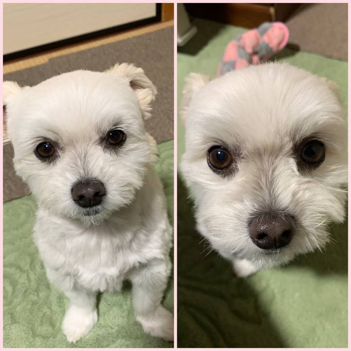 E88c13a0 d2c5 4793 bd13 ae9a5bb94cf4 1637666407034