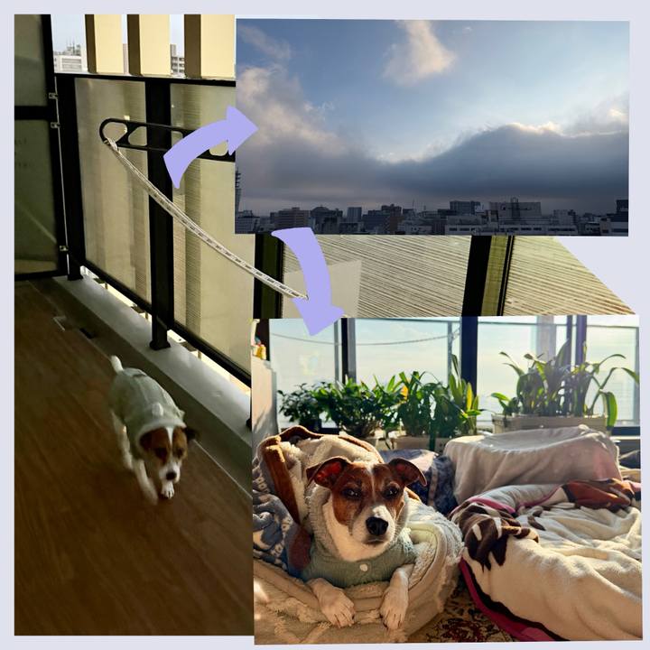 E88c3b5f c8ad 4449 af3d a0ec6e8cfa0b 1768524338725