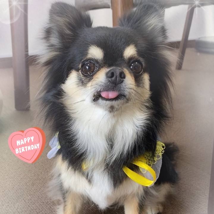 E88cbe21 8c38 4eff 809c fb668d4edb69 1623125273235