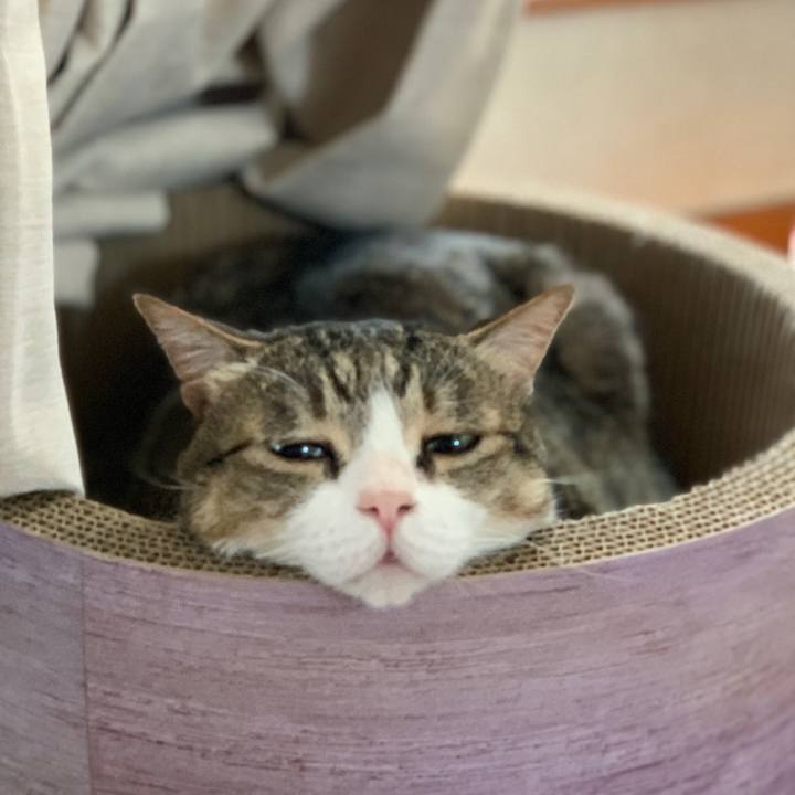 E88ce396 4962 4ebc 88cb 985eb67a84ae 1624581542680