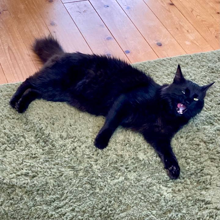 E88ceeed d7e6 45f4 9106 45ebd433ac13 1745205646255