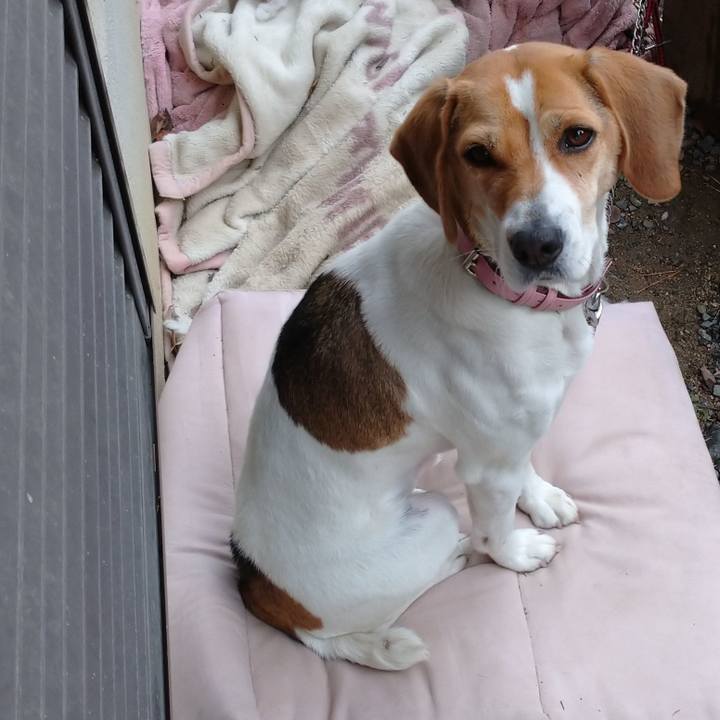 E88d0bf5 3c3b 4ccf af8a 4703bb3098c2 1577753619609