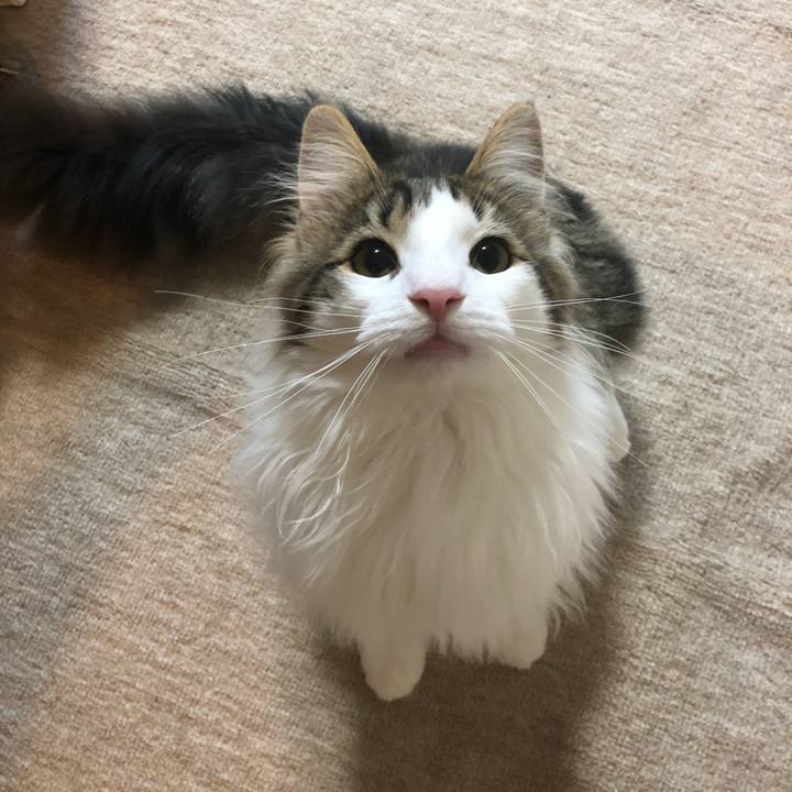 E88d11b7 a599 42a4 89d7 4f0199a69fa2 1521980831376