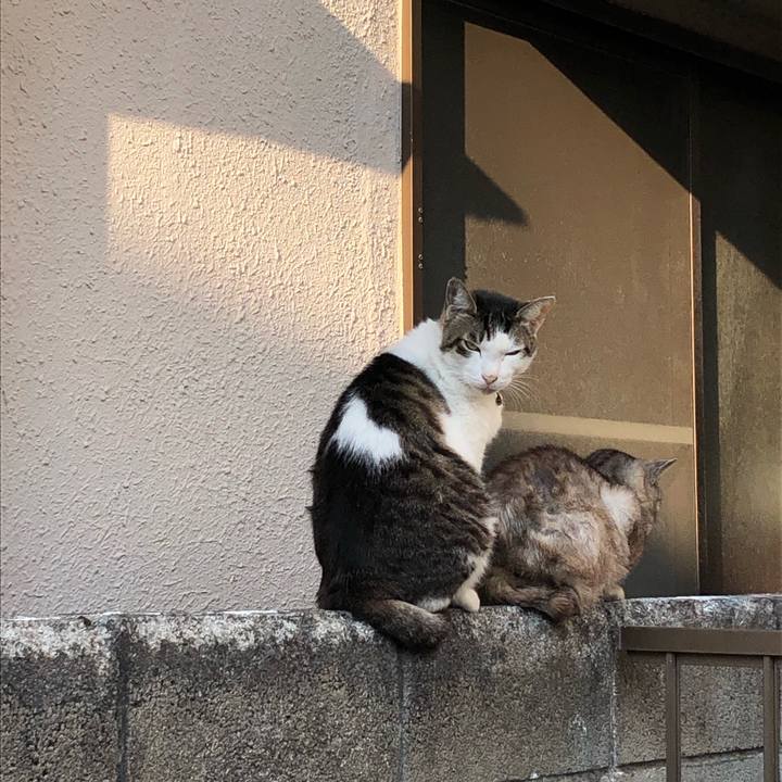 E88d265c 59a5 4cb8 ab1c fcd206f2974a 1552685300075