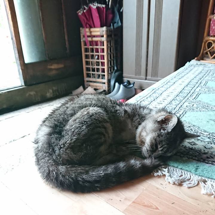 E88d340f a9e8 4725 aa0b 7dec349a3204 1597529098170