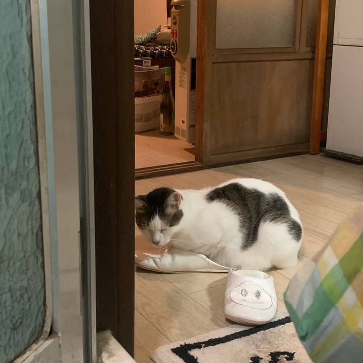 E88d4503 3a33 43b8 91a5 97cb7f7ba6c0 1634402575800