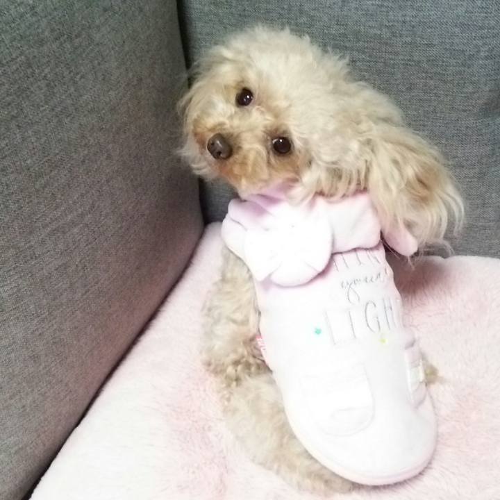 E88d4fd7 dd8b 45e2 84cf 54807218d438 1550742606215