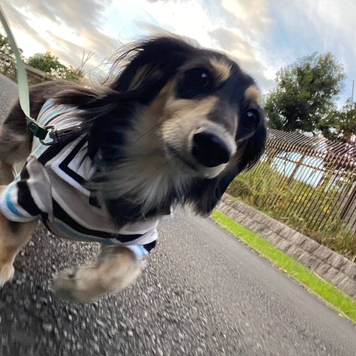 E88d56fc b312 4945 8de5 055e5f062788 1763419934929