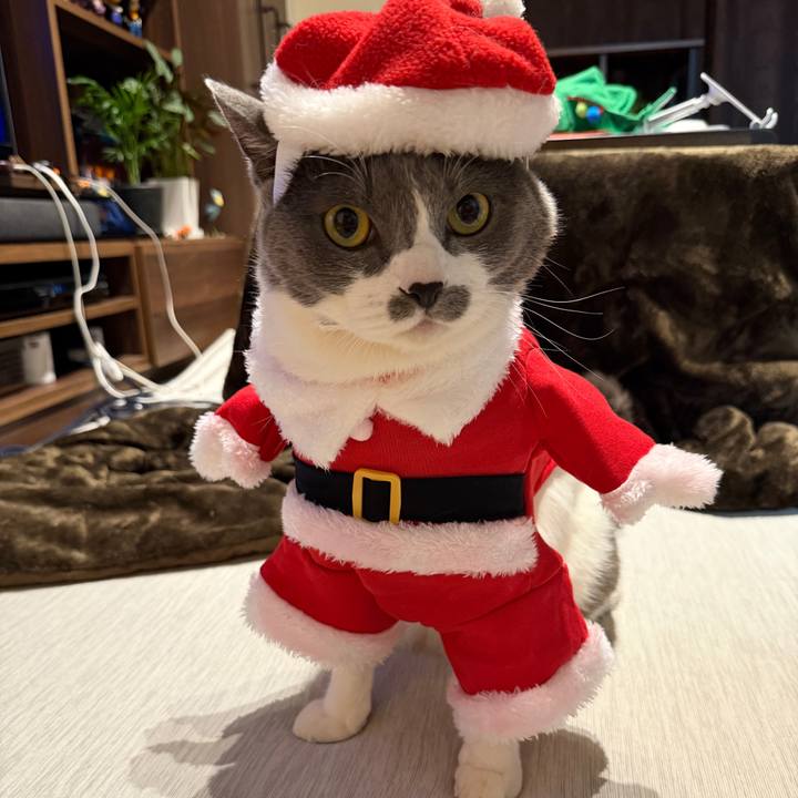 E88d8971 85fa 4c68 bda8 adc5e279ee01 1766830923833