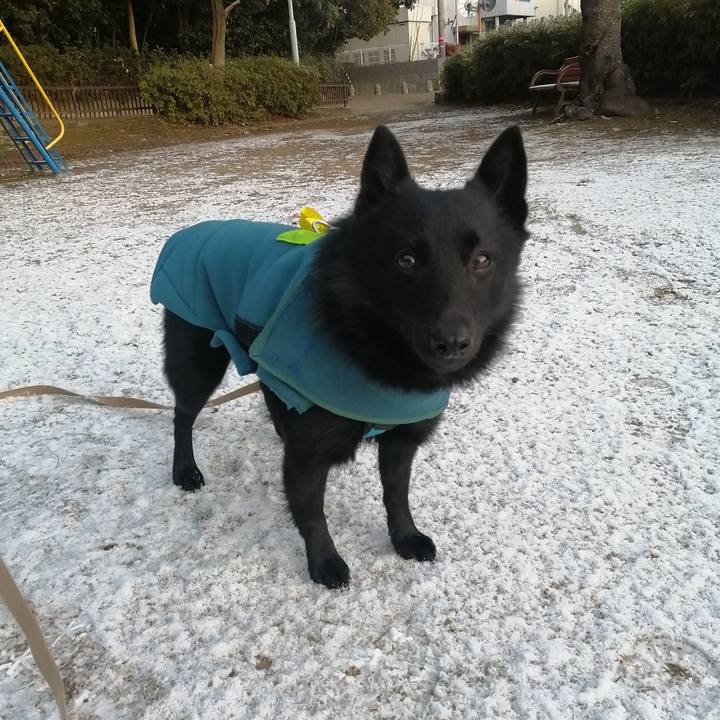 E88dbef4 76d8 435d bf21 e7f9fe105112 1642717035509