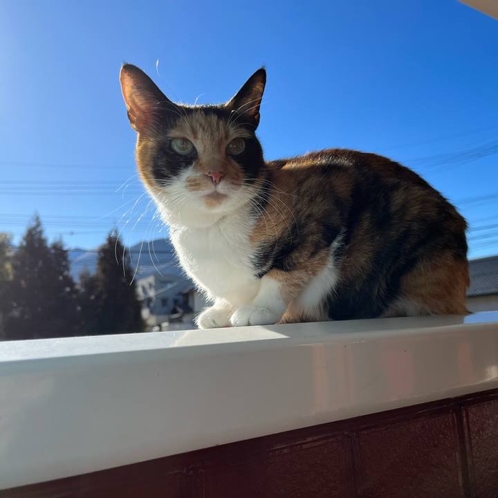 E88dee24 2bc3 40ec 8aeb ac49a8ffbd5f 1674123251827