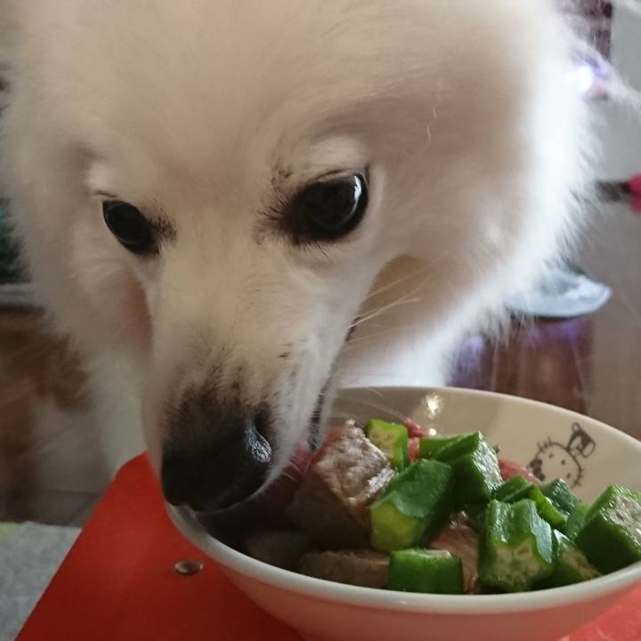 E88e062f a27f 4568 8b9a a5ca1a1ba6ab 1598680534915