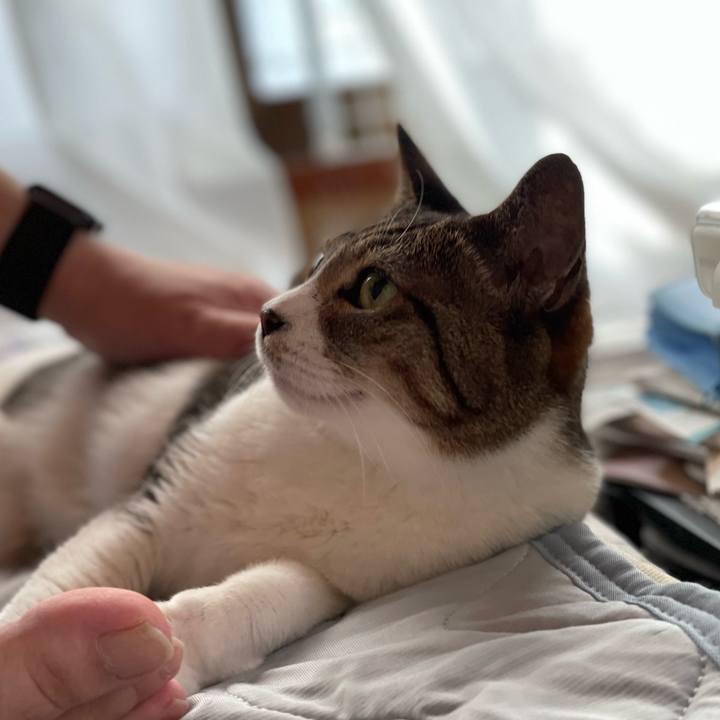 E88e088d 9a0a 4572 9456 4f721d6cf19f 1659050670021