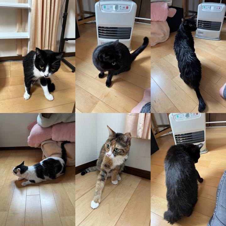 E88e2498 4be2 41b0 8a4c 88ffc078fb6c 1672481109943