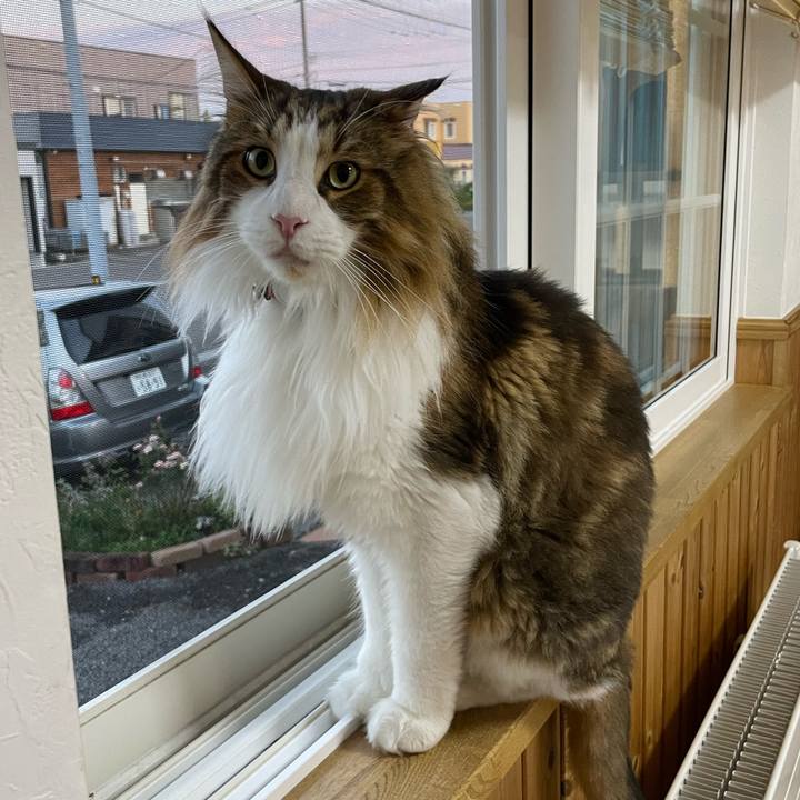 E88eb087 63f7 4e20 8675 7f1779f7e2ad 1692561106684