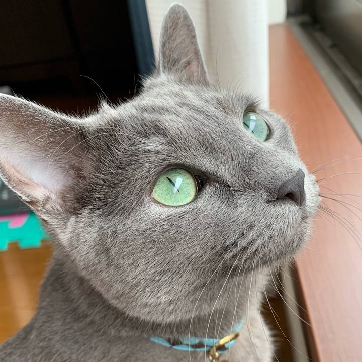 E88ee2ea a3f9 487b 85f5 9e6adaa62cf0 1594617104005