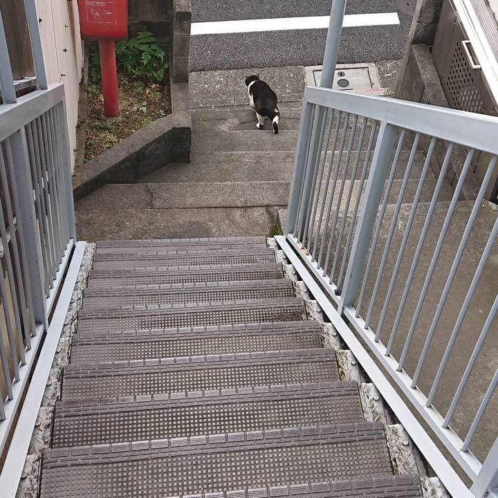 E88f5015 f1a3 4cd8 bc96 60fb39c58b06 1539661322228