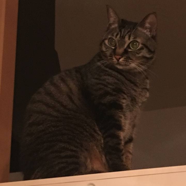 E88f5676 0a1e 403d aefa 475bbcb2caf9 1545220884104