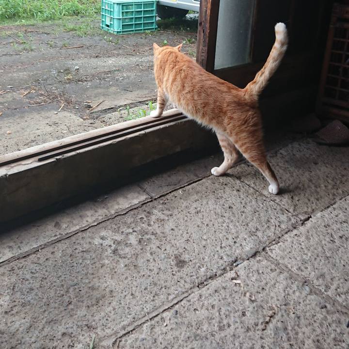 E88f6094 248c 4405 b6cd d45ee6d7ff80 1596959492223