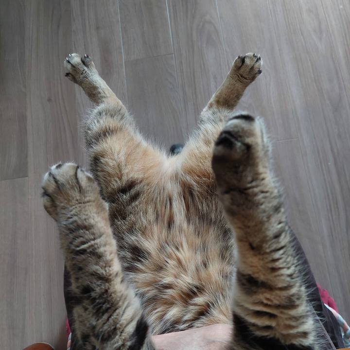 E88fb0ab 1d10 4f57 bd28 2753e9170370 1732171471951