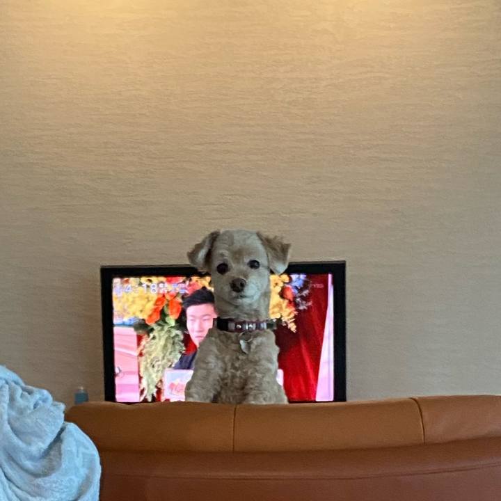 E88ffff2 3775 482d b7a8 99c5bf63f8a8 1626680146276