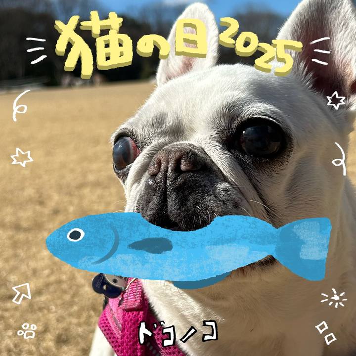 E8901132 4cd7 492c 9c82 cc2083de831e 1740234826208