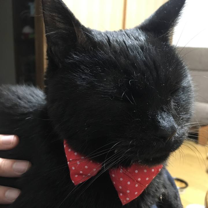 E8902c8a 64c0 4944 a34b f403b606b5a1 1551263152586