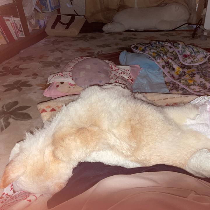 E8902cfe 731b 4231 bd99 5820365adfcf 1674425570035