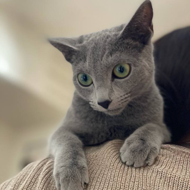 E8905c97 54de 40fb 8147 1e97d7e8f3da 1610159647120