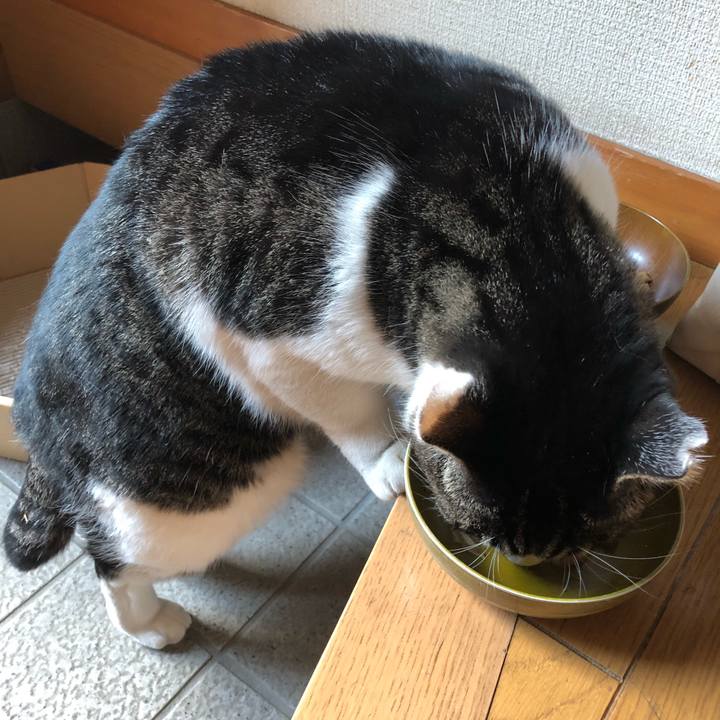 E8906314 9a09 45ea a783 864de6b239aa 1543318222716