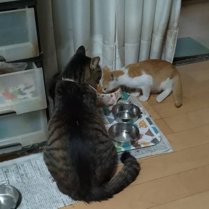 E89079a4 f500 41ab 87d1 5af0ae677ad9 1724748712636