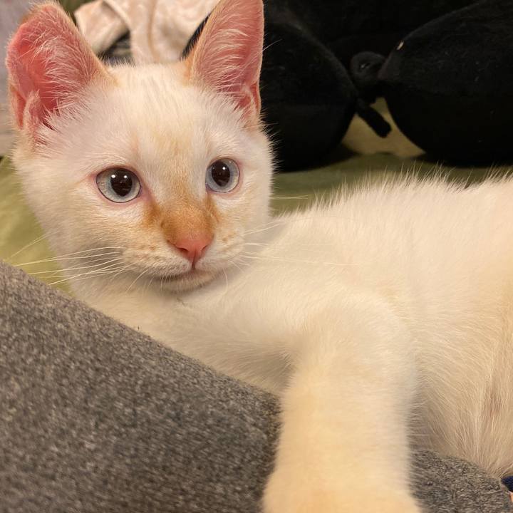 E890a187 20e0 464e 9b35 2eca523fcda8 1575541310692